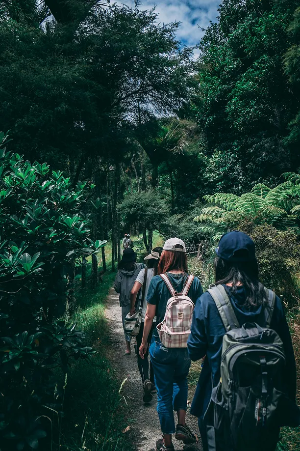 Randonneurs sur un sentier en forêt au cœur de la nature